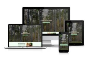 Multiscreen von Greenhat Seo