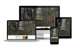 Mockup Multiscreen von Greenhat Seo